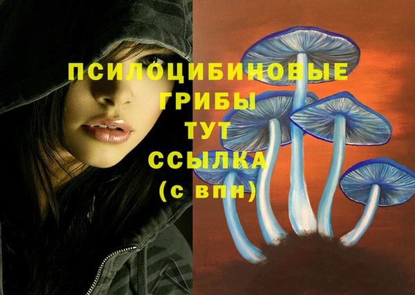 мескалин Корсаков